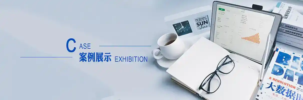 利津县软件开发